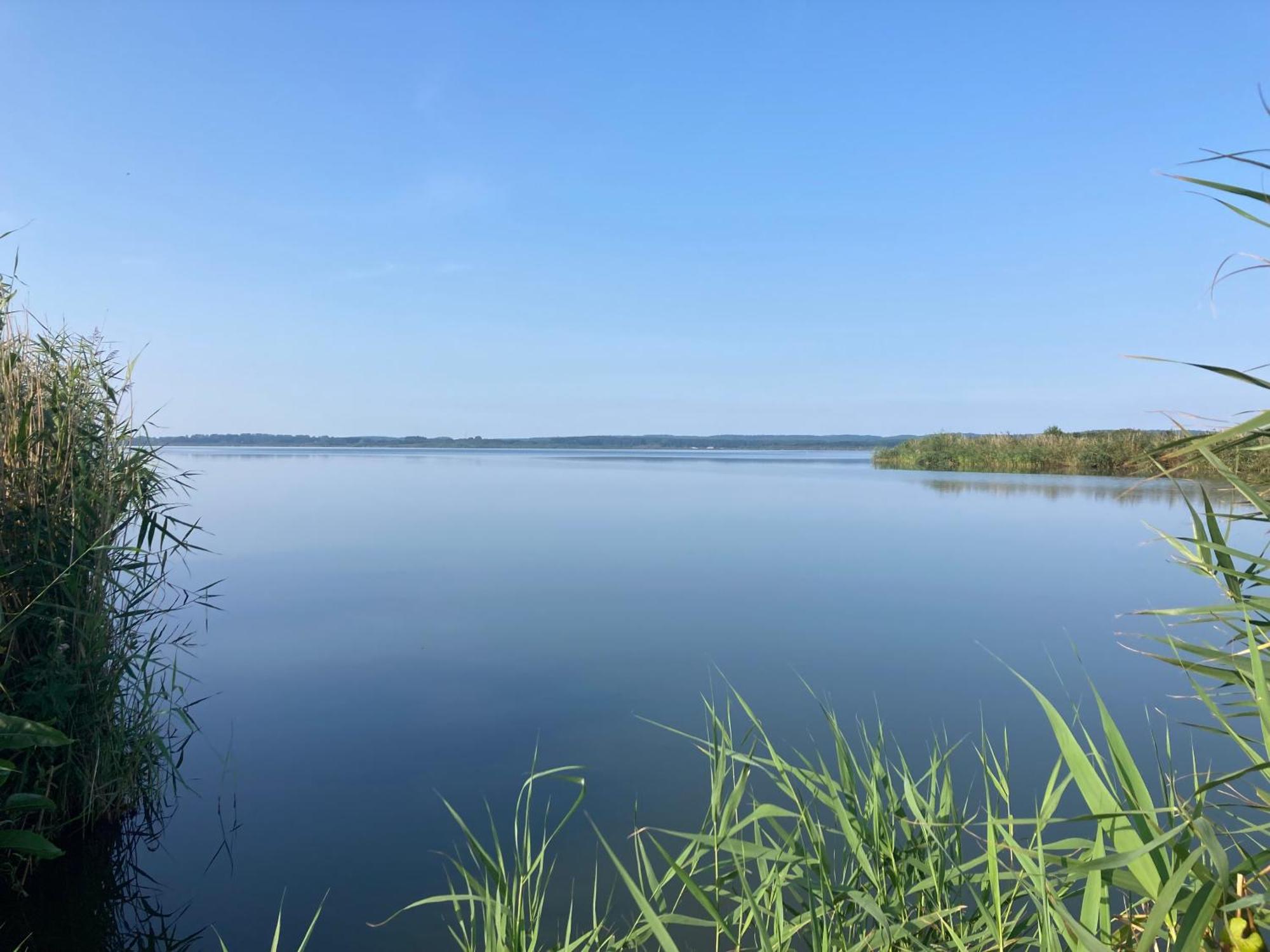 Nowe Apartamenty Ostoja - Nad Baltykiem - Cisza I Piekno Natury Zastan Экстерьер фото