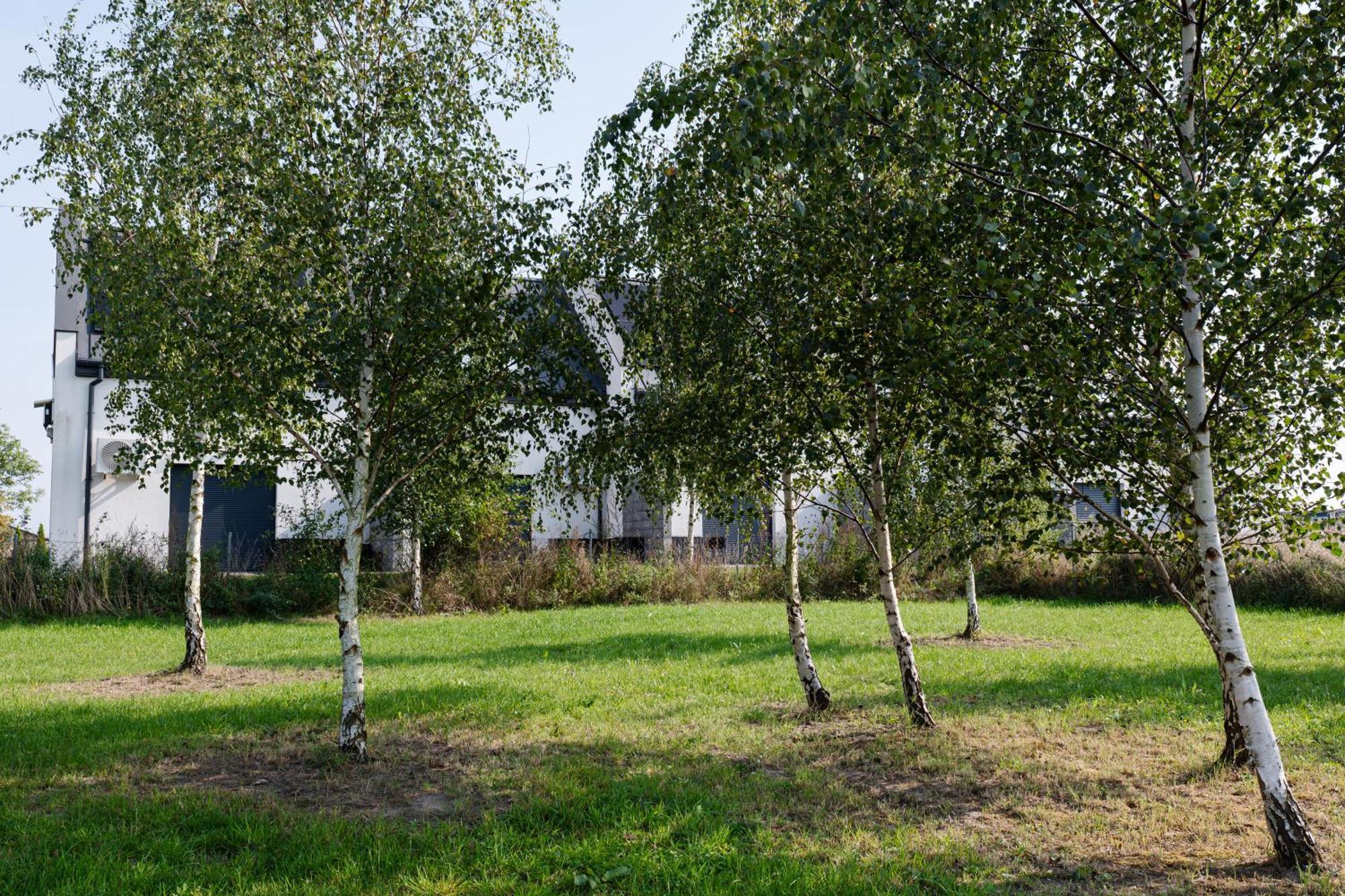 Nowe Apartamenty Ostoja - Nad Baltykiem - Cisza I Piekno Natury Zastan Экстерьер фото